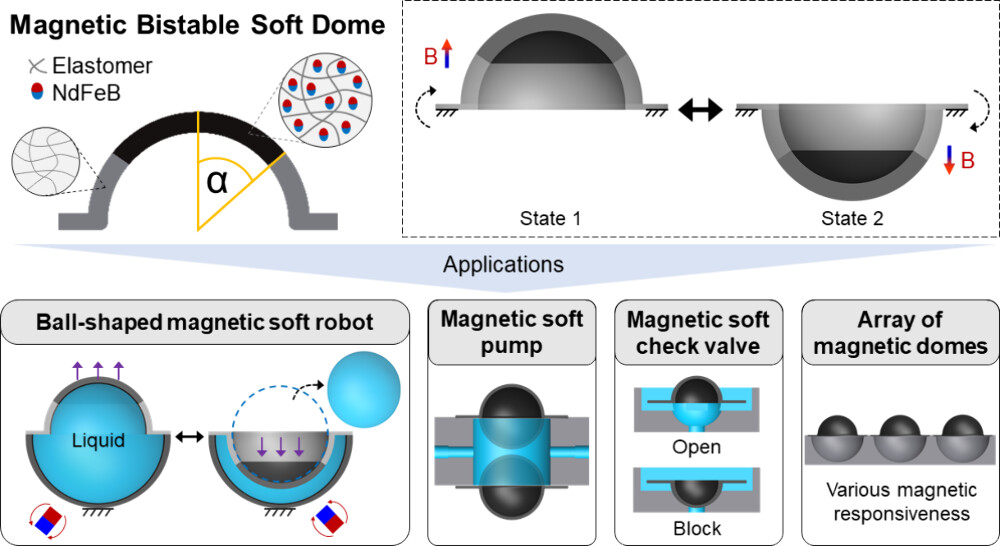 Magnetic Bistable Dome Actuators for Soft Robotics with High Volume Capacity and Motion Stability